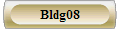 Bldg08