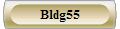 Bldg55